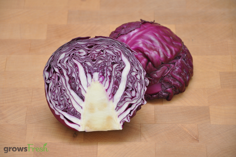 Organic Cabbage - Red - Australian