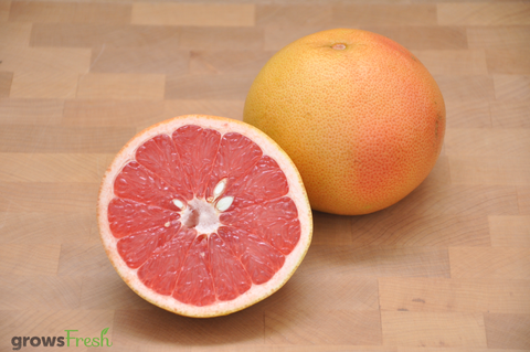 Organic Grapefruit - Red - Australian