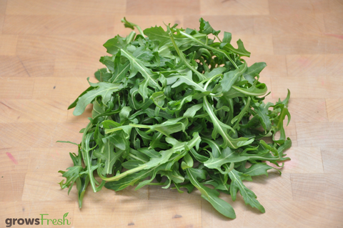 Organic Roquette (Rocket or Arugula) - Australian