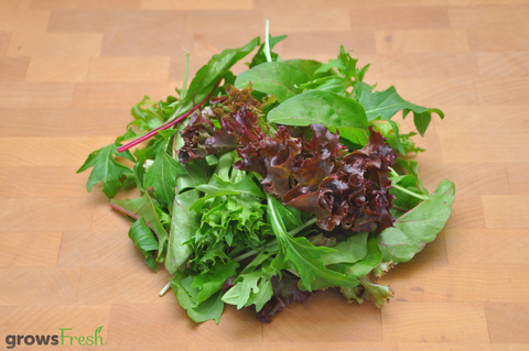 Organic Salad Mix - Australian