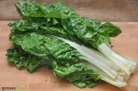 Organic Silverbeet - Australian