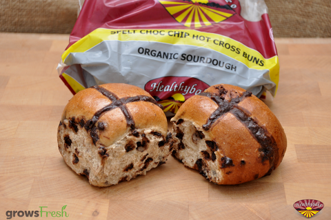 Healthybake - Hot Cross Buns - Choc Chip - Organic Sourdough - Australian