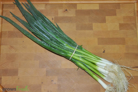 Organic Spring Onions - Bunch - Australian