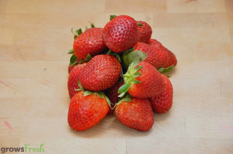 Organic Strawberries - Australian