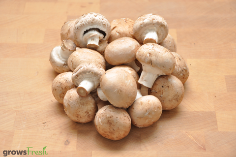 Organic Mushrooms - Swiss Brown - Australian