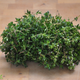 Organic Herbs - Thyme - Fresh - Australian