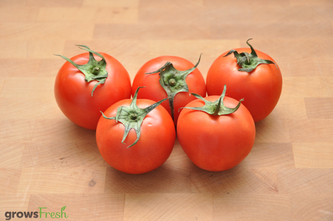 Organic Tomatoes - ROUND -  Australian