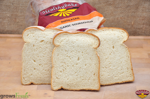 Healthybake - Organic Sourdough - Bread - White Khorasan - Australian