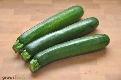 Organic Zucchini - Australian