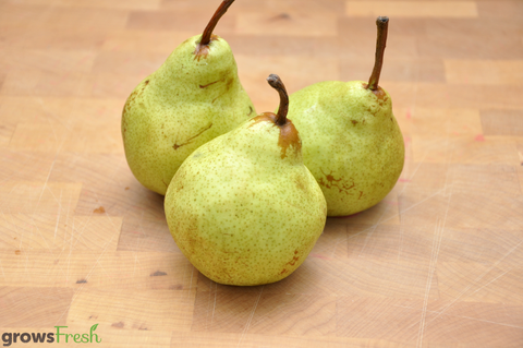 Organic Pears - Australian