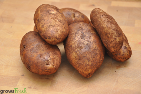 Organic Potatoes - Sebago - Unwashed - Australian
