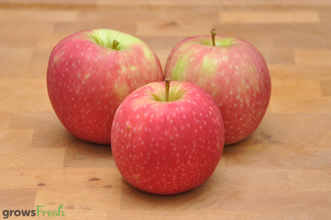 Organic Apples - Red - Australian