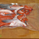 Copper River - Wild Alaska - Salmon - Flesh & Bones - Frozen - Alaska USA