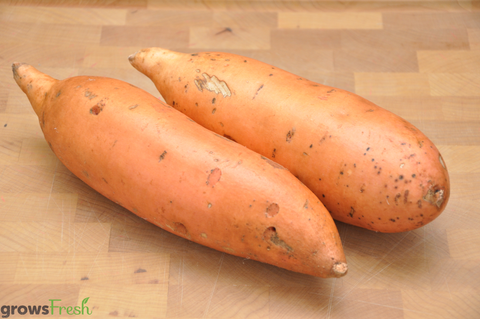 Organic Sweet Potatoes - Australian
