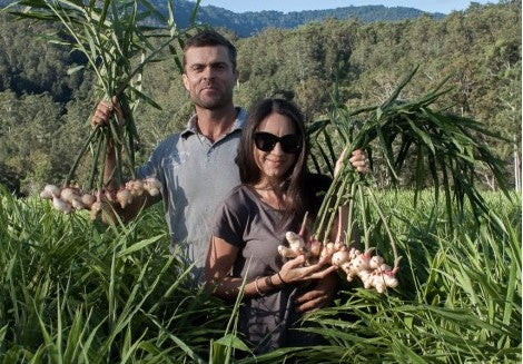 Organic Turmeric - Australian