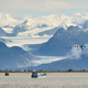 Copper River - Wild Alaska - Salmon - Flesh & Bones - Frozen - Alaska USA