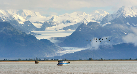 Copper River - Wild Alaska - Salmon - Flesh & Bones - Frozen - Alaska USA