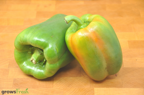 Organic Capsicums/ Bell Peppers - Green - Australian
