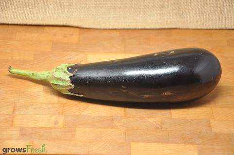 Organic Eggplant (Aubergine) - Australian