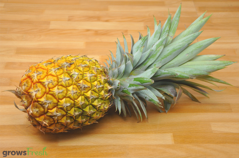 Organic Pineapple - Australian