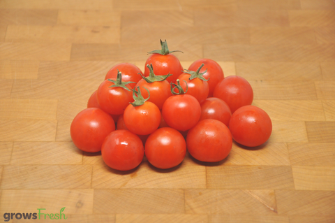 Organic Cherry Tomatoes - Australian