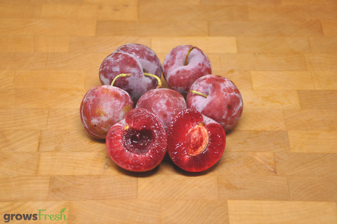 Organic Blood Plums - Australian