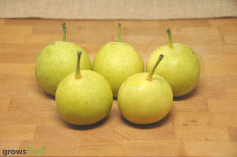 Organic Nashi Pear - Australian