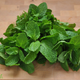 Organic Herbs - Mint - Fresh - Australian
