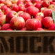 Organic Apples - Red - Australian