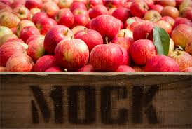 Organic Apples - Red - Australian