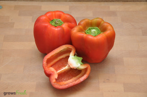 Organic Capsicums/ Bell Peppers  - Green Color - Australian