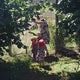 Organic Blackberries - Australian